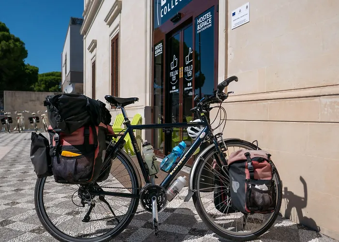 Lobby Collective - לצ'ה